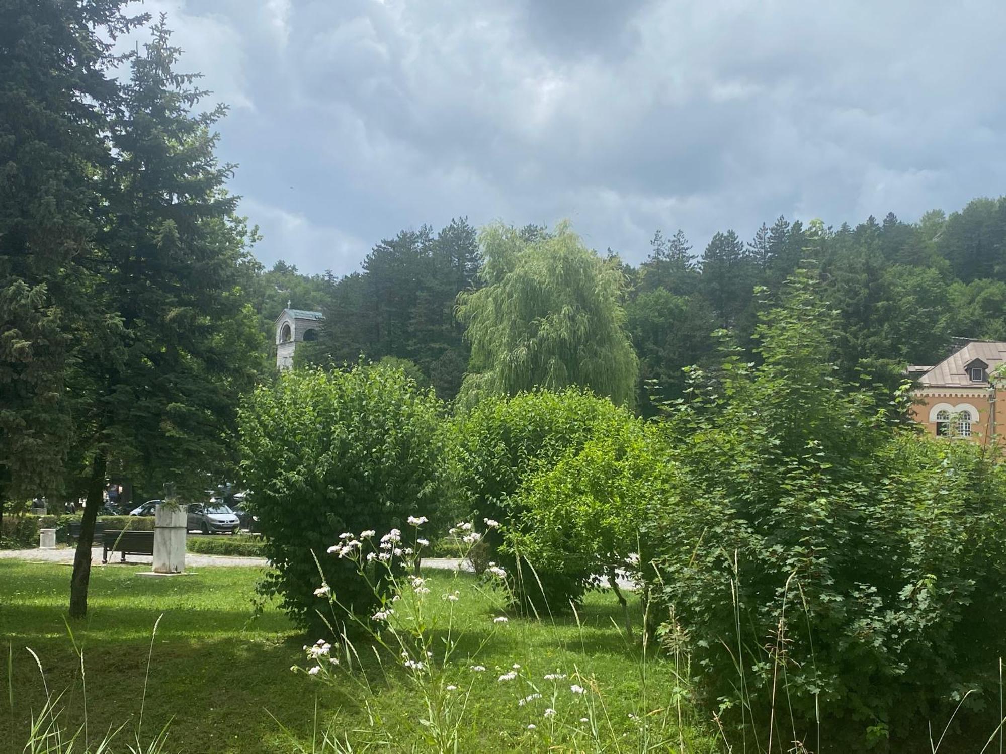 Apartments Bokan Cetinje Buitenkant foto